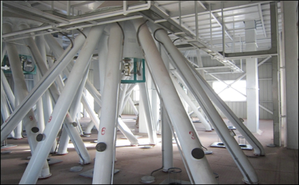 動物飼料機(jī)械多少錢?其對原料的清理方式又有哪些?